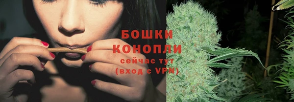 стаф Бородино