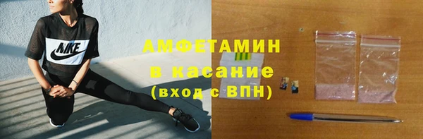 стаф Бородино