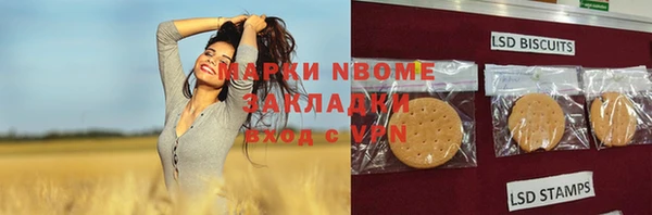 стаф Бородино