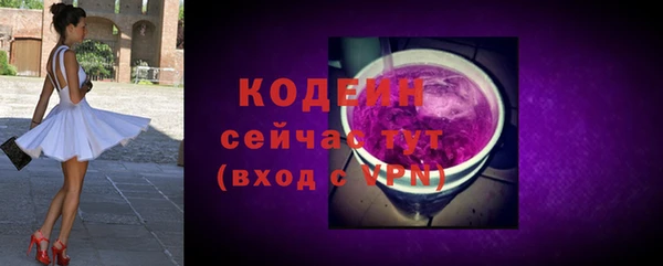 стаф Бородино
