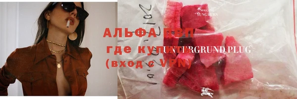 стаф Бородино