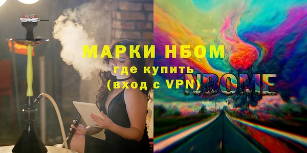 стаф Бородино