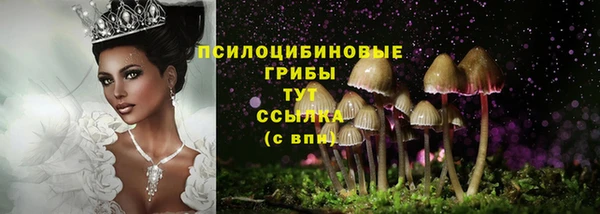 метадон Бронницы