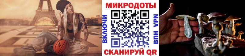 Купить закладки  Курильск  Псилоцибиновые грибы ЛСД 